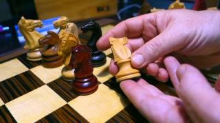 A Close Look at Some Finest Chess Knights Ever