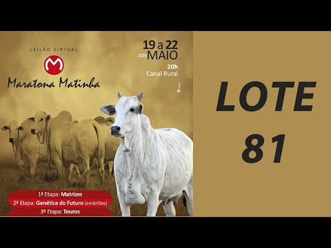 LOTE 81