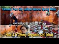 Local organic food  nature spring water lalitpur  oldest hydropower of nepal tibetanvlogger
