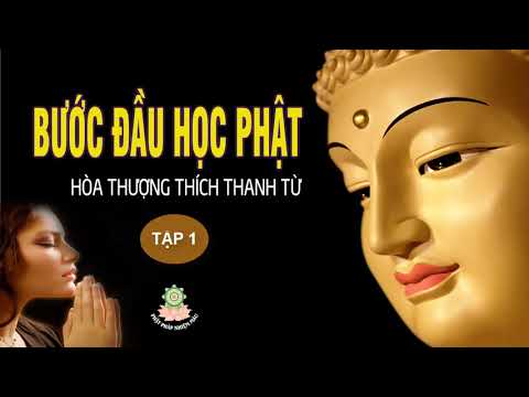 Video: Phật Giáo Bắt đầu Như Thế Nào