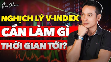 NGHỊCH LÝ V-INDEX: CẦN LÀM GÌ TRONG THỜI GIAN TỚI? | THAI PHAM