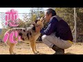 【涙腺崩壊】心を閉ざした保護犬が心底人を信じた瞬間❗️