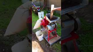 Chicken bedding 6mm 01 YouTube
