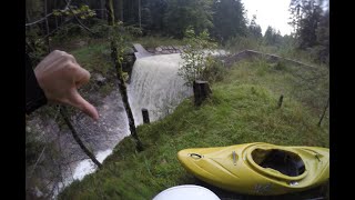 F**k Wildbachverbauung - Salzkammergut (Solo)