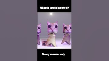 WHAT DO YOU DO IN SCHOOL?? **WRONG ANSWERS ONLY😂🐱** #shorts #memes #dancing #cat