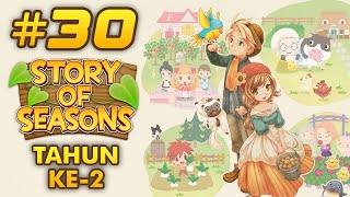 Menabung Sampai 3jt Gold  - Story of Seasons [Indonesia] #30