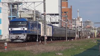 #317【JR貨物・甲種輸送】EF210-355牽引の8862レ ロイヤルエクスプレス甲種輸送