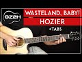 Wasteland, Baby! Guitar Tutorial Hozier Guitar Lesson |Fingerpicking|