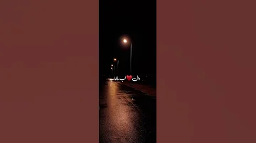 الشوق قد مل صبري ومل السوالف 