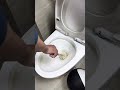 #Aisidin said about hair care#Clean the yellow toilet#Toilet helper