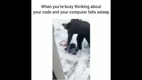coding memes,Anyone can relate ,devoloper memes #bug #codinglife #codingbasics #funnyvideo