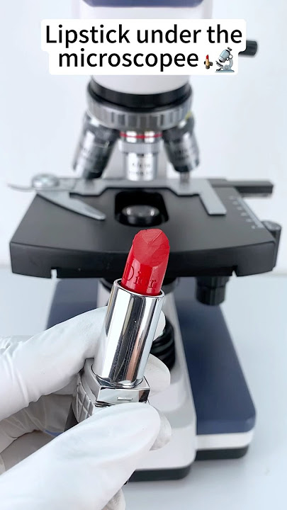 Lipstick under the microscope A Hidden World Under the Microscope – Bacteria Close-Up!