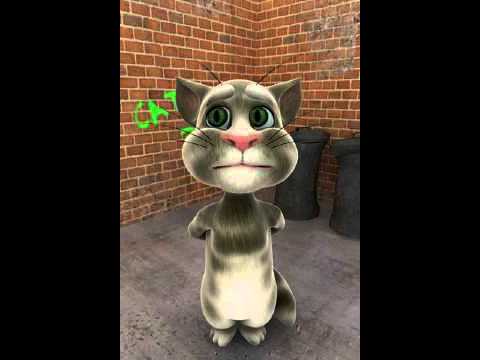 Video: Kuidas Teha Tavalisest Sokist Naljakas Kass