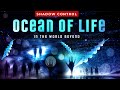 Ocean of life in the world beyond shadow control