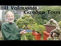 Bill valavanis shows us around his garden  greenwood bonsai