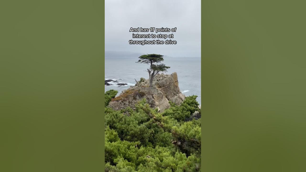 Scenic 17-Mile Drive near Monterey, California #shorts #explorecalifornia #travel Scenic 17-Mile Drive near Monterey, California #shorts #explorecalifornia #travel