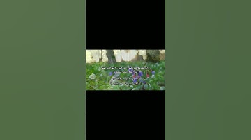 القارئ | بدر بن محمد التركي 🤍🌙 [سورة الأحزاب : الآية ٥٦]