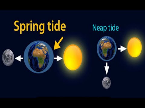 spring tides and