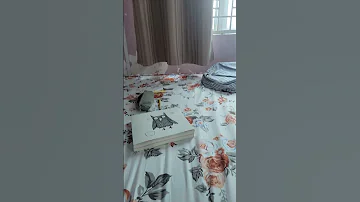 The Perfect Loop 