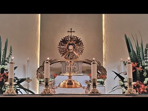 tv familia paso a paso ORACION EN VIVO HOY