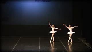 Pizzicato | Dancing crown competition 2017