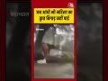 आंधी में महिला पर गिरा पेड़ लेकिन कुछ बिगाड़ नहीं पाई | #viralvideo #shortsvideo #viral #shorts