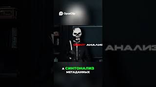Синт Исследователи  Роскошная Жизнь и Шпионские Схемы