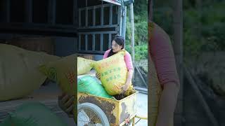 Rural Mountain Girl's Daily Life: Cooking &amp; Hard Work