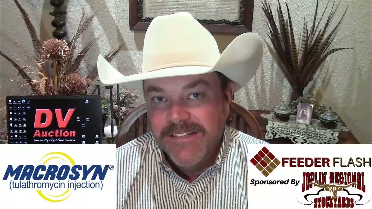 Feeder Flash 11/27: Black Friday - YouTube