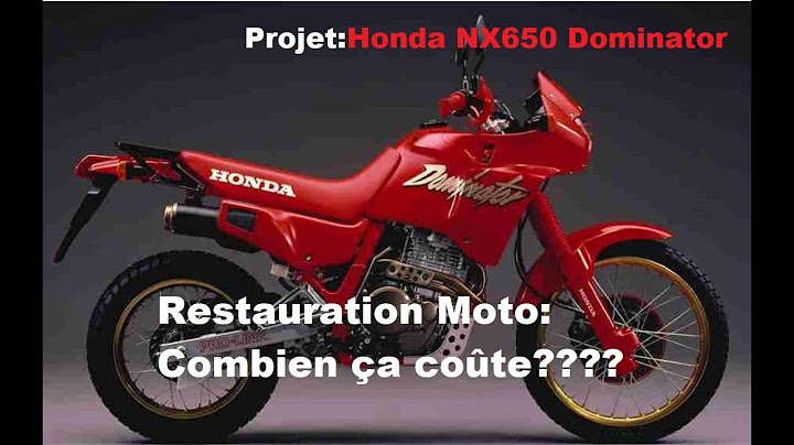Restauration Moto Combien ça coute???? Projet: Honda NX 650 Dominator de 1991