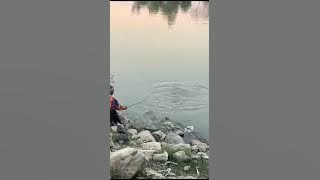 mancing wader gede teknik pecut