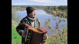 "Поиграй мне отец на гармони " Николай Котрин