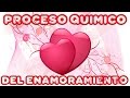 El Proceso Químico del ENAMORAMIENTO