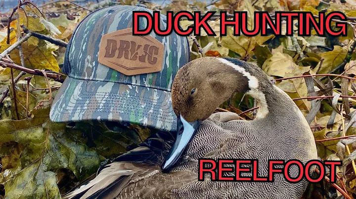 Reelfoot Lake Duck Hunting - William Riddle Blind