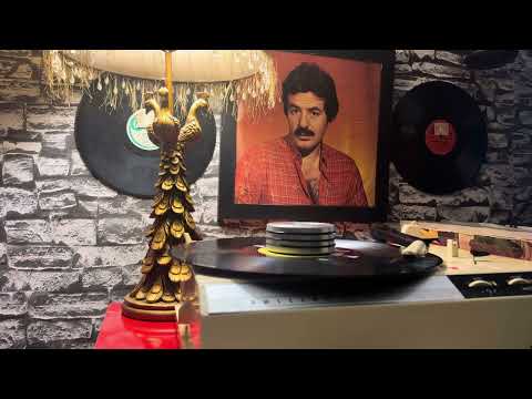 Ferdi Tayfur -