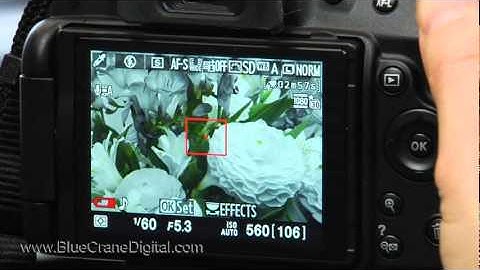 Introduction to the Nikon D5100: Basic Controls