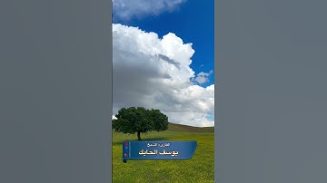 #القرآن_الكريم #آيات