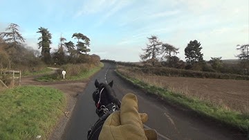 Training an impatient pony to stand still - Fell mare.