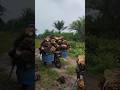 langsir sawit muatan penuh#langsirsawit#lansirsawit#sawitbuahpasir #yusrilsawit #sawit