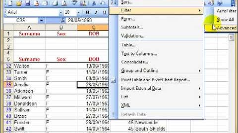 AM 4424 Advanced filters Microsoft Excel 2003 ECDL Advanced ITQ3