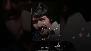 Ferdi Tayfur İnsanım Insan