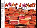 Sound station feat fixit  what i want radio remix