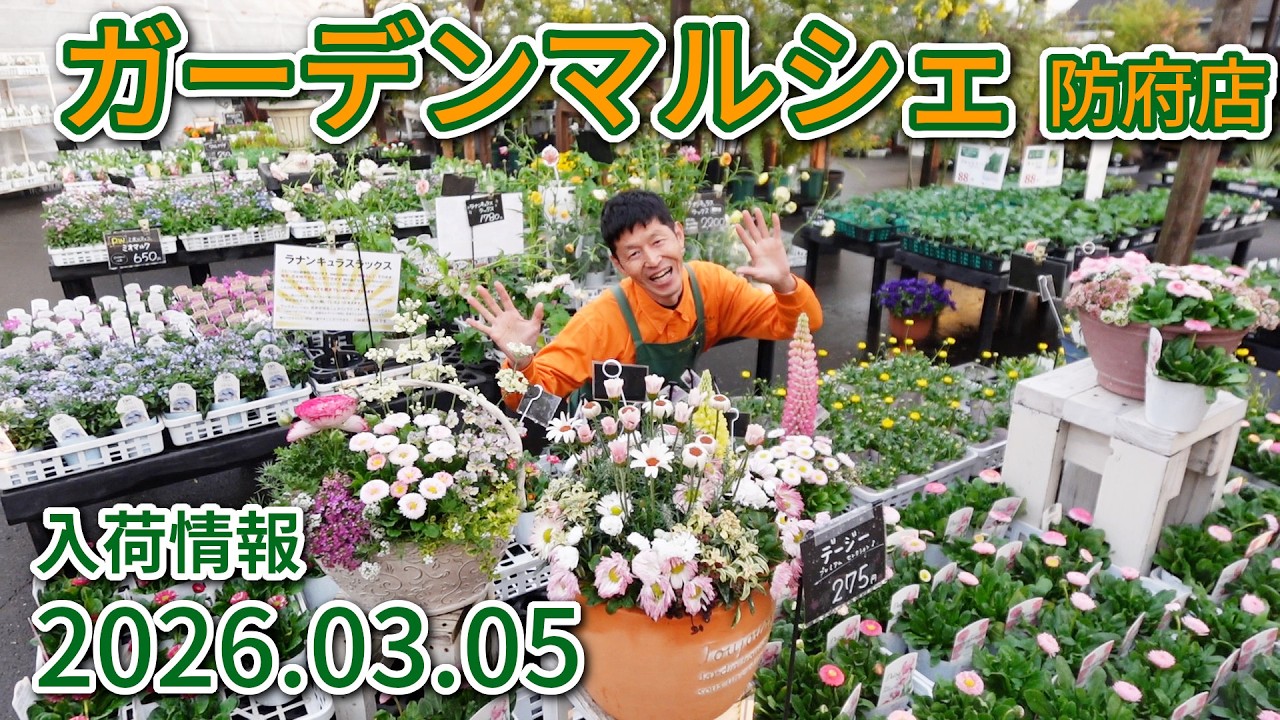 2026年3月5日 ガーデンマルシェ防府店 今週の入荷情報