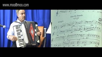 mooBmoo com Accordion E020