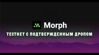 MORPH ТЕСТНЕТ С ПОДТВЕРЖДЕННЫМ ДРОПОМ | ПОШАГОВАЯ ИНСТРУКЦИЯ ДЛЯ ПОЛУЧЕНИЯ AIRDROP