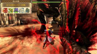 【MH3G】12年前放置していたハンターランクをカンストしてきた【狩人の頂】