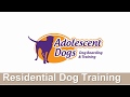 Home Boarding Residential Dog Training with Adolescent Dogs Ltd - 2018 Home Boarding Residential Dog Training with Adolescent Dogs Ltd - 2018