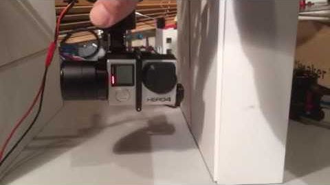 Tiny2 gimbal