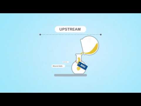 Video: Engineering Bacillus Licheniformis Zur Herstellung Von Meso-2,3-butandiol