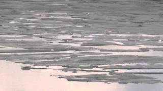 Ice Flows On The Detroit River
